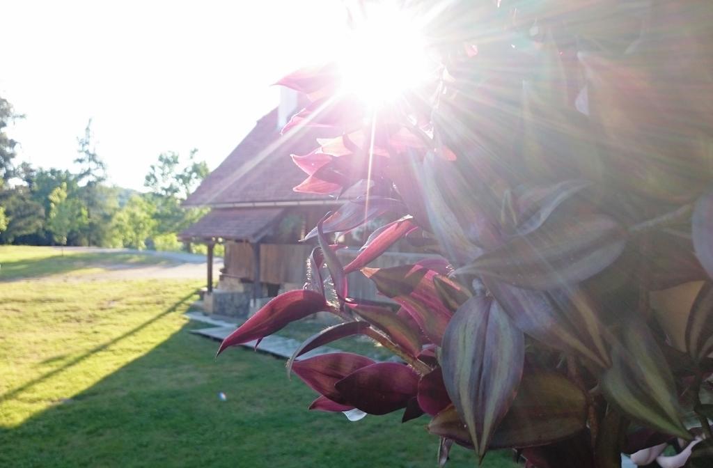 Rustic Home Mia Duga Resa Oda fotoğraf