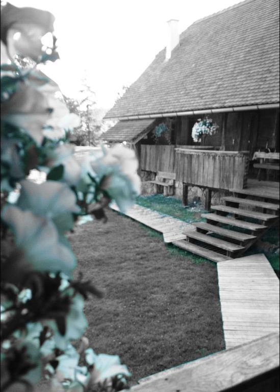 Rustic Home Mia Duga Resa Oda fotoğraf