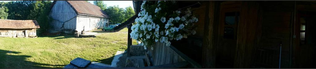 Rustic Home Mia Duga Resa Oda fotoğraf