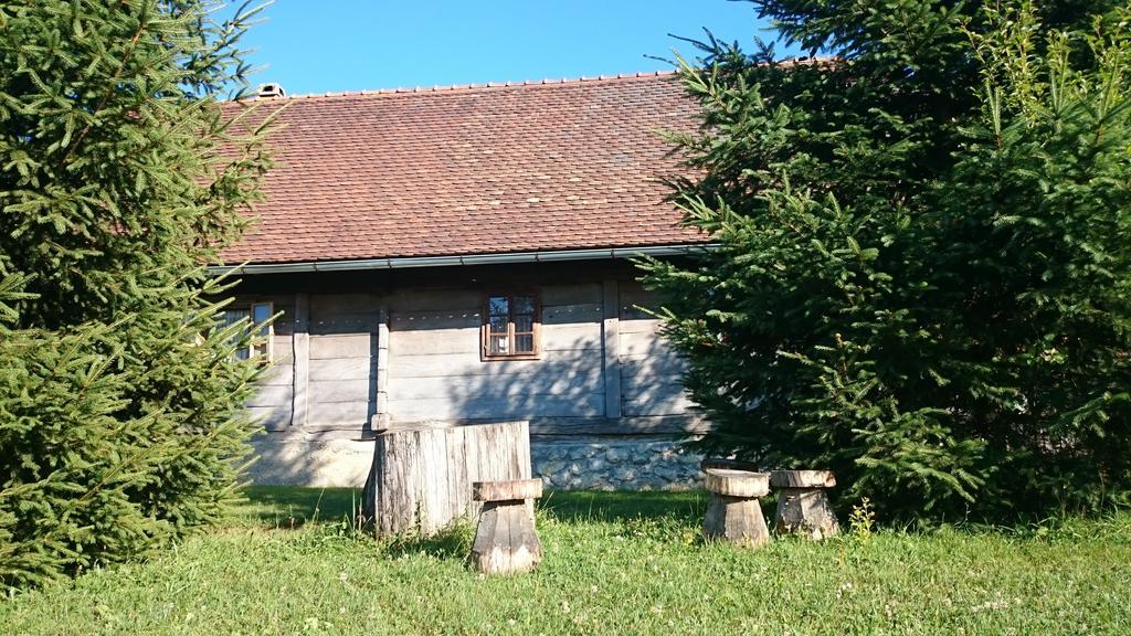 Rustic Home Mia Duga Resa Oda fotoğraf