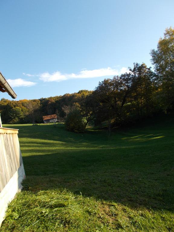 Rustic Home Mia Duga Resa Oda fotoğraf
