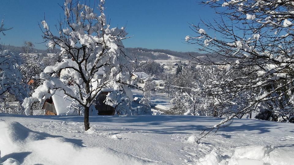 Rustic Home Mia Duga Resa Dış mekan fotoğraf